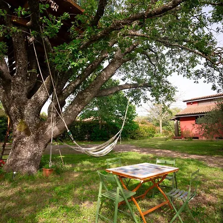 La Casa Rossa Nell’oasi