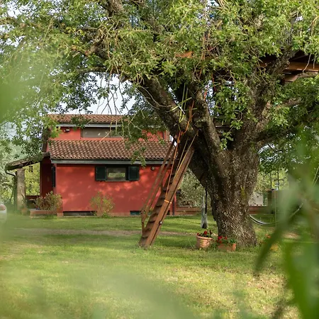 La Casa Rossa Nell'oasi Semesterbostad Canale Monterano